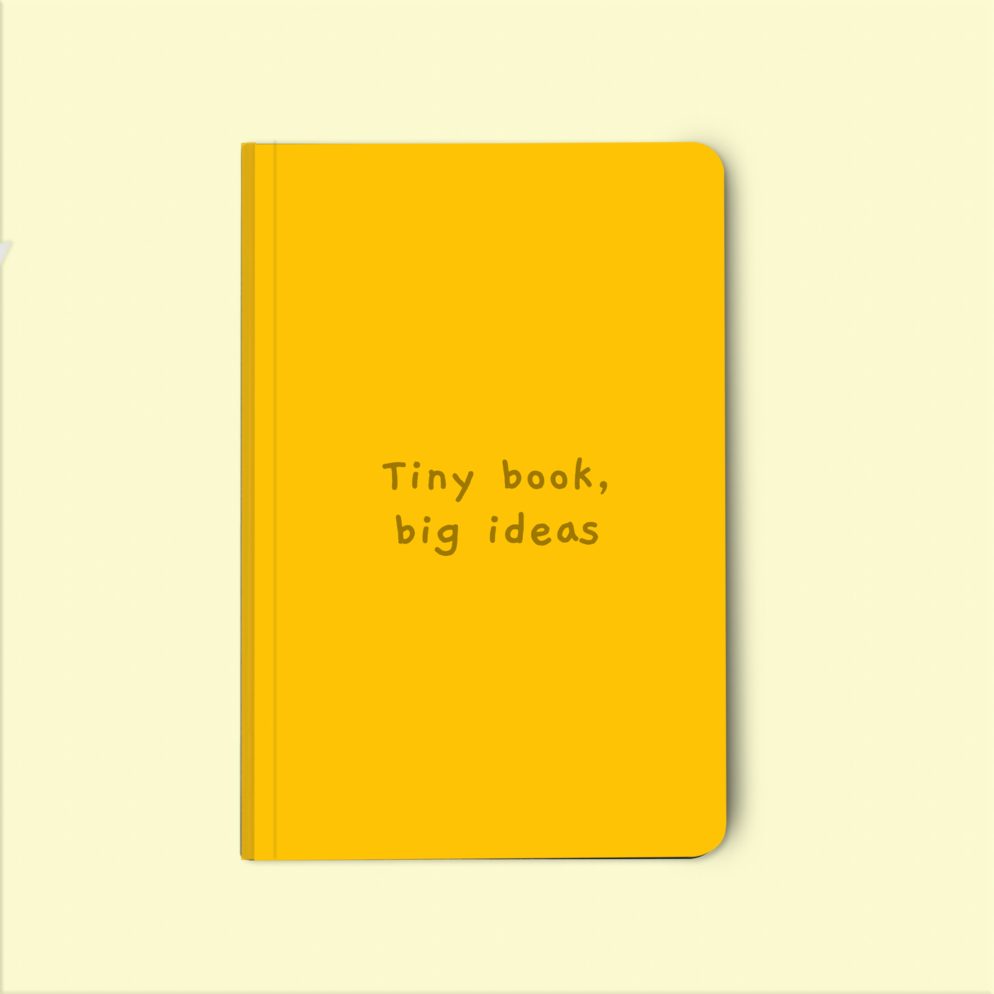 Tiny book, big ideas